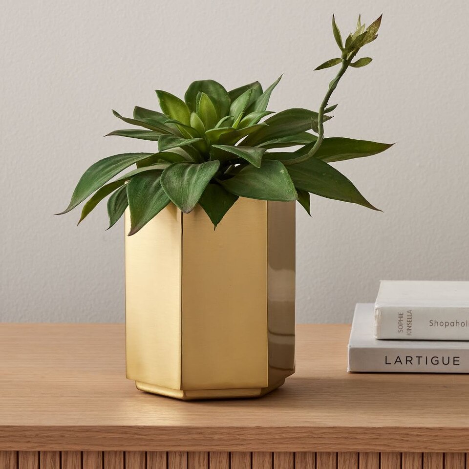 Hexagon Brass Planters West Elm UK